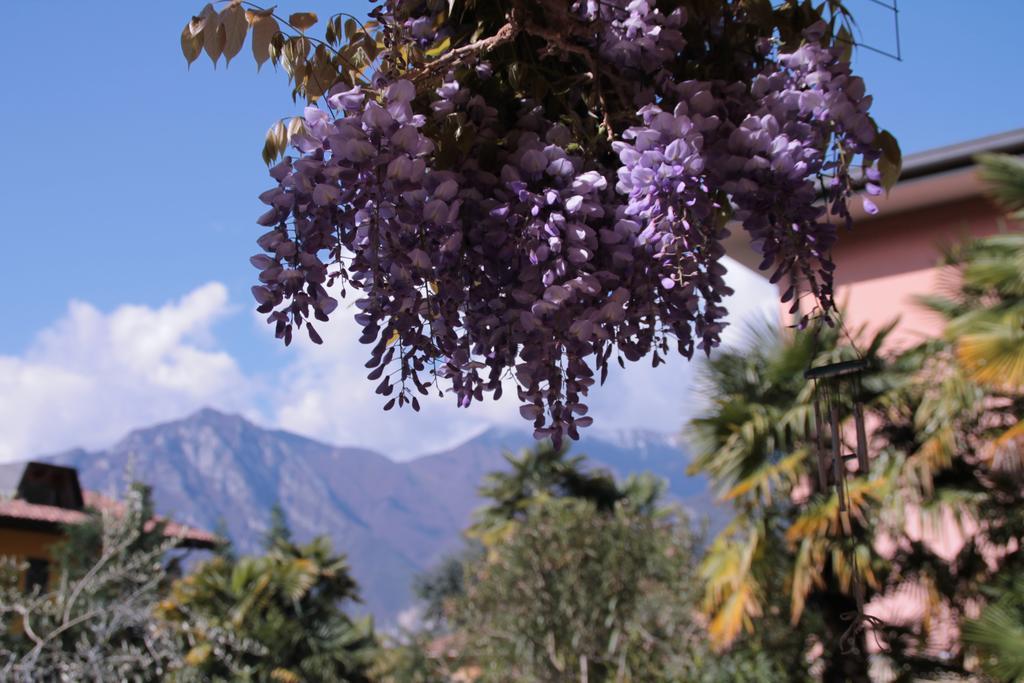 Casa Vacanze Claudette Arco Buitenkant foto
